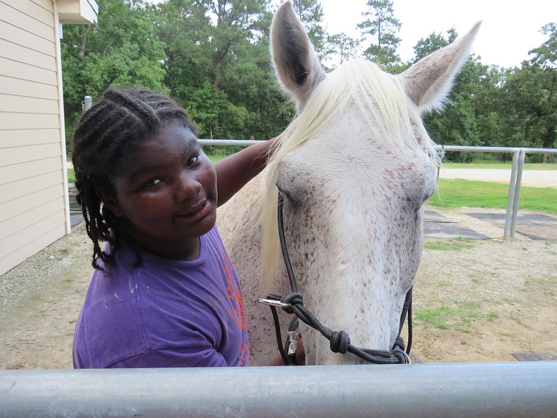 A young girl in a purple shirt pets the mane of a spotted white horse