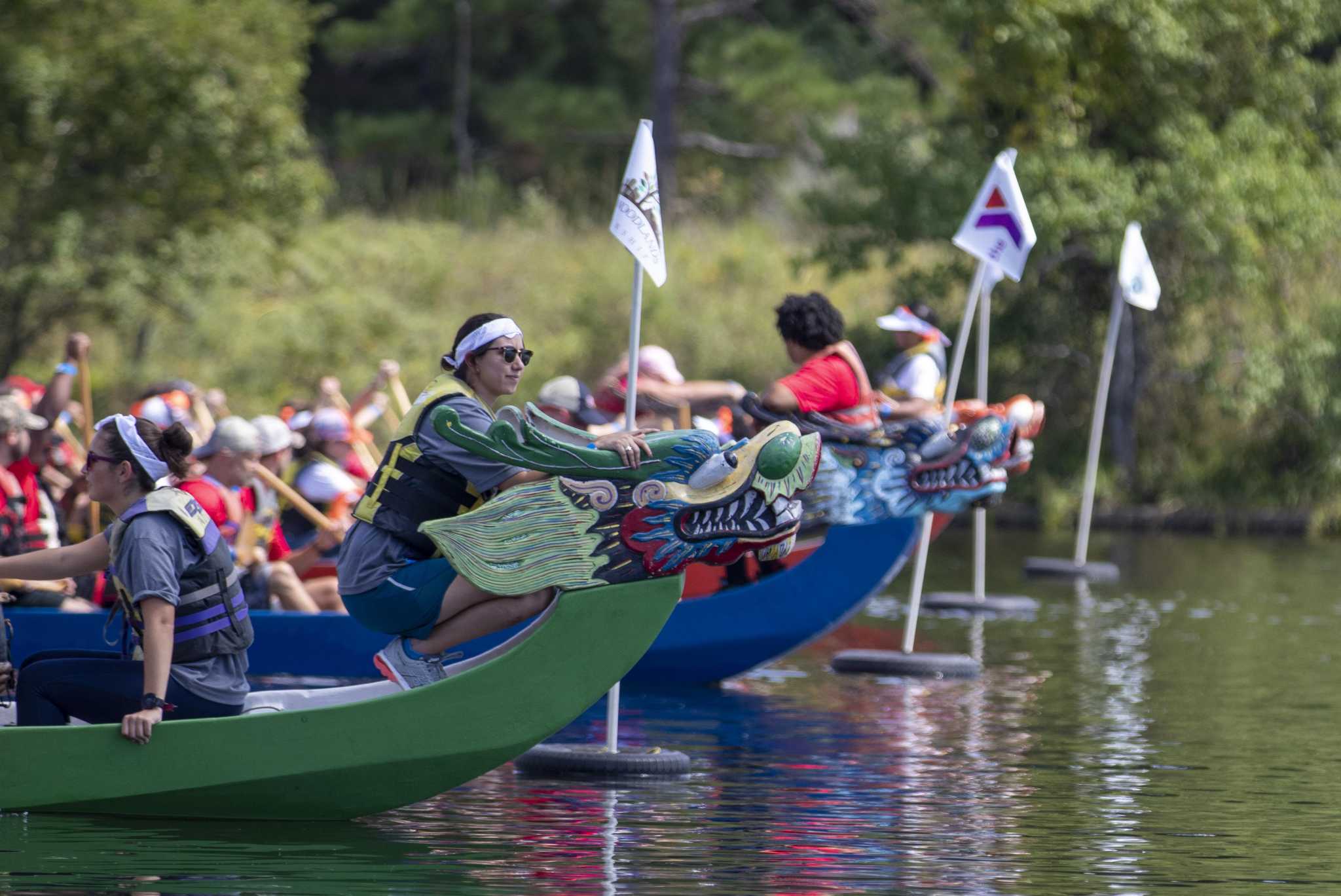 Several dragon boats with paddlers and flags.