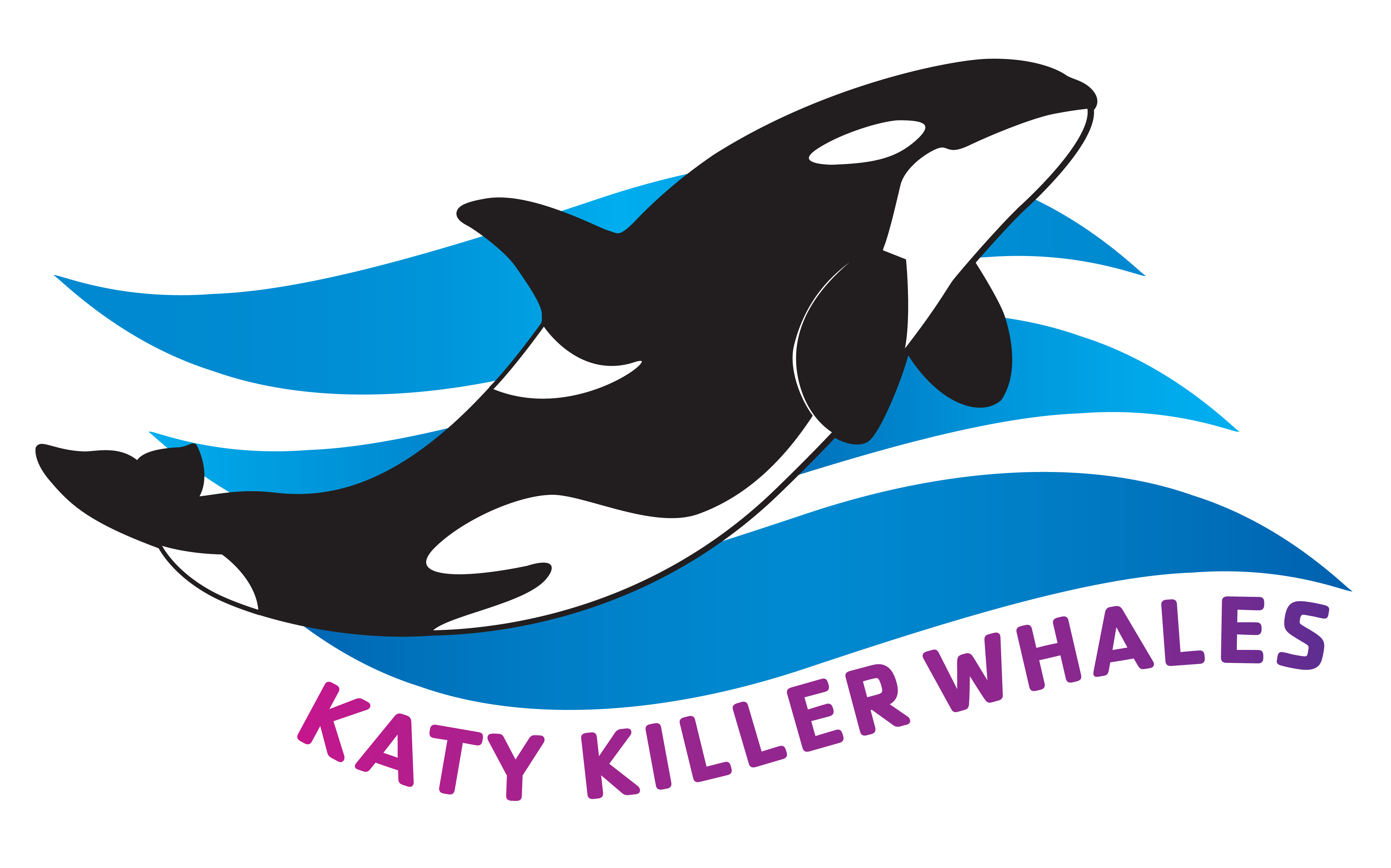 A logo of a black and white killer whale jumping over blue waves with the text “Katy Killer Whales” in pink below.